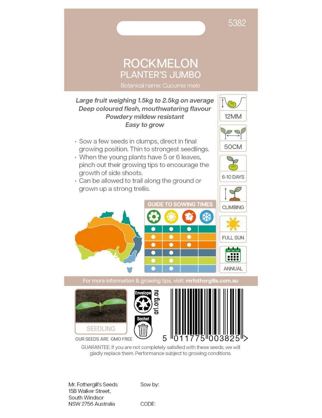 Rock Melon Planters Jumbo Seeds - Image 3