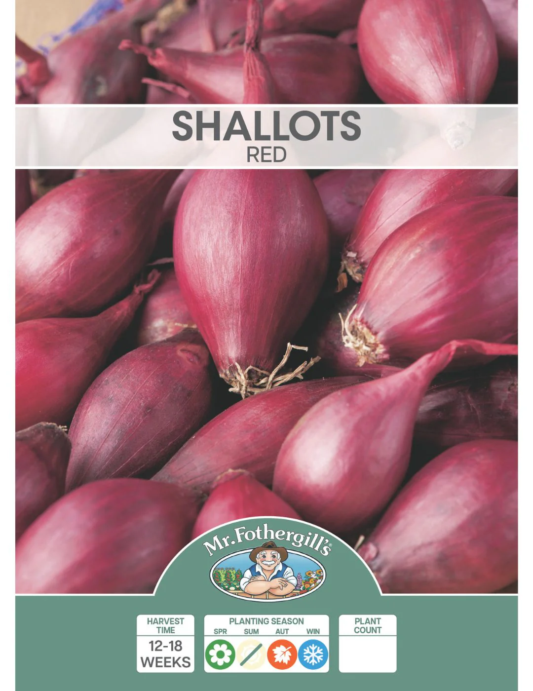 Shallots Red (Bulbs) - Image 2