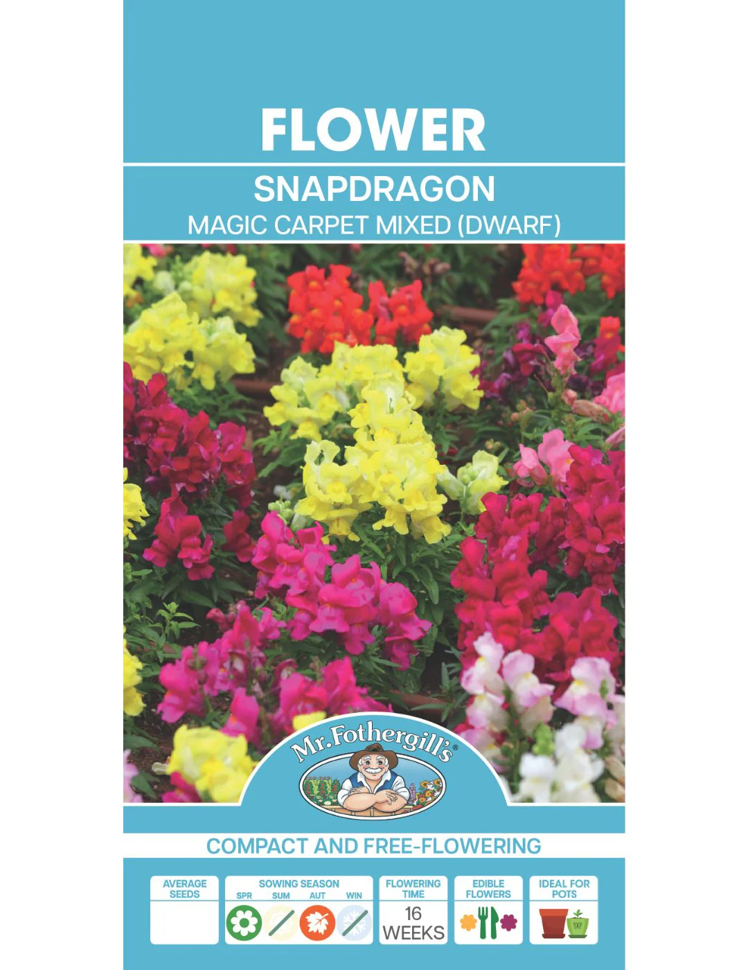 Snapdragon Magic Carpet Mixed Dwarf - Image 2
