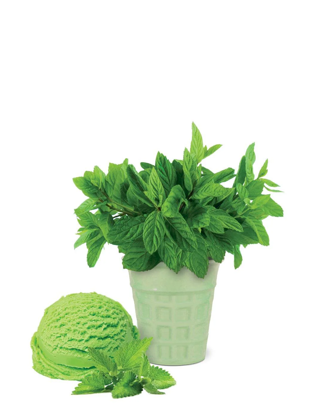 Spearmint Ice Cream Flavour Grow Kit - Image 2