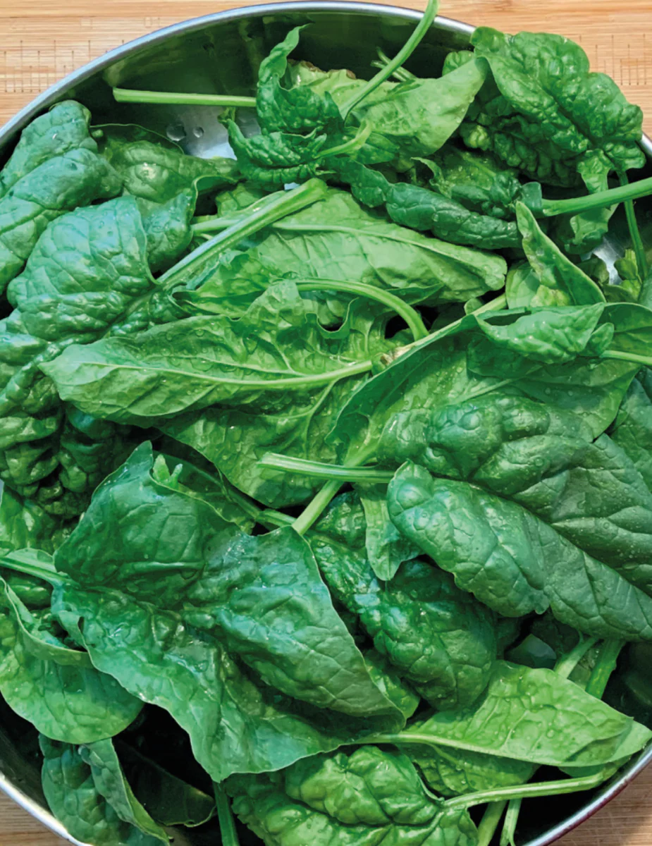 Spinach Bloomsdale Longstanding - Image 2