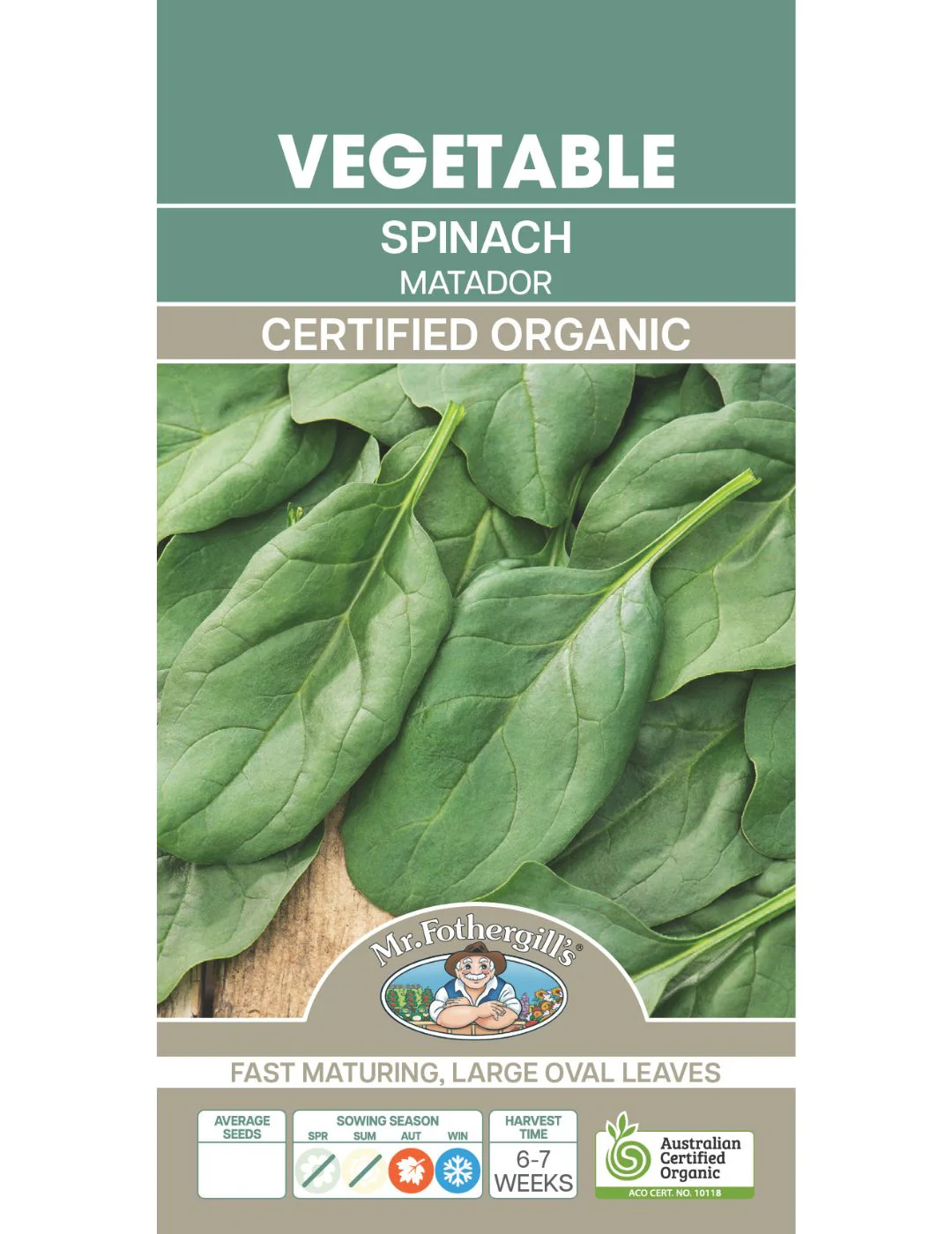 Matador Spinach Organic Seeds - Image 2