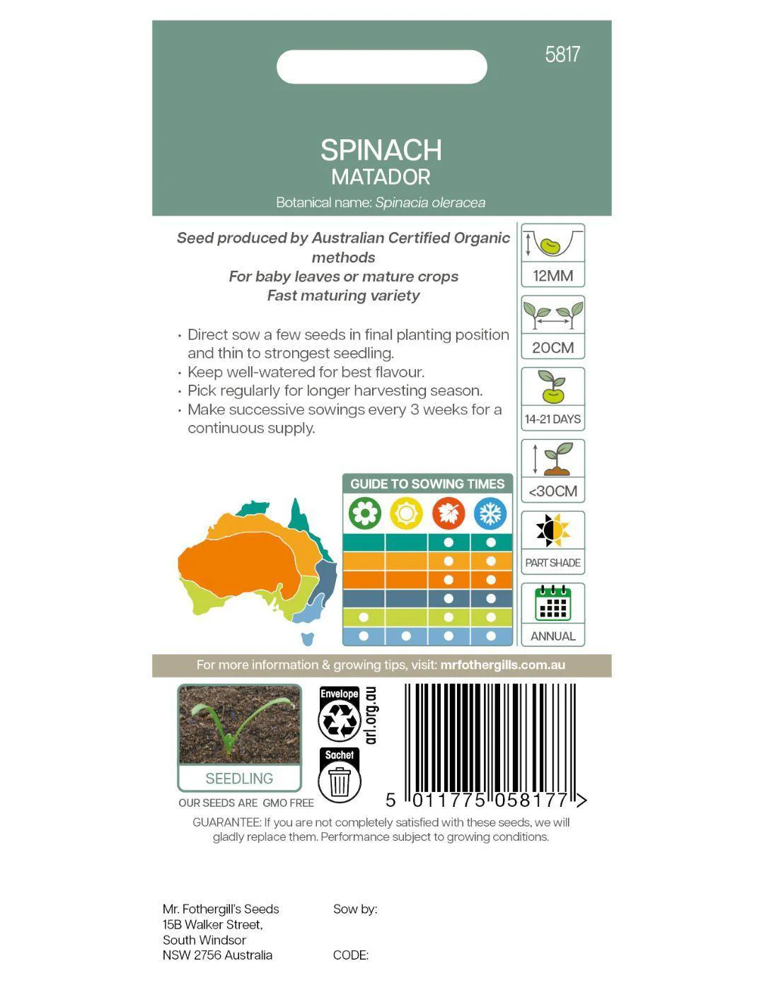 Matador Spinach Organic Seeds - Image 3
