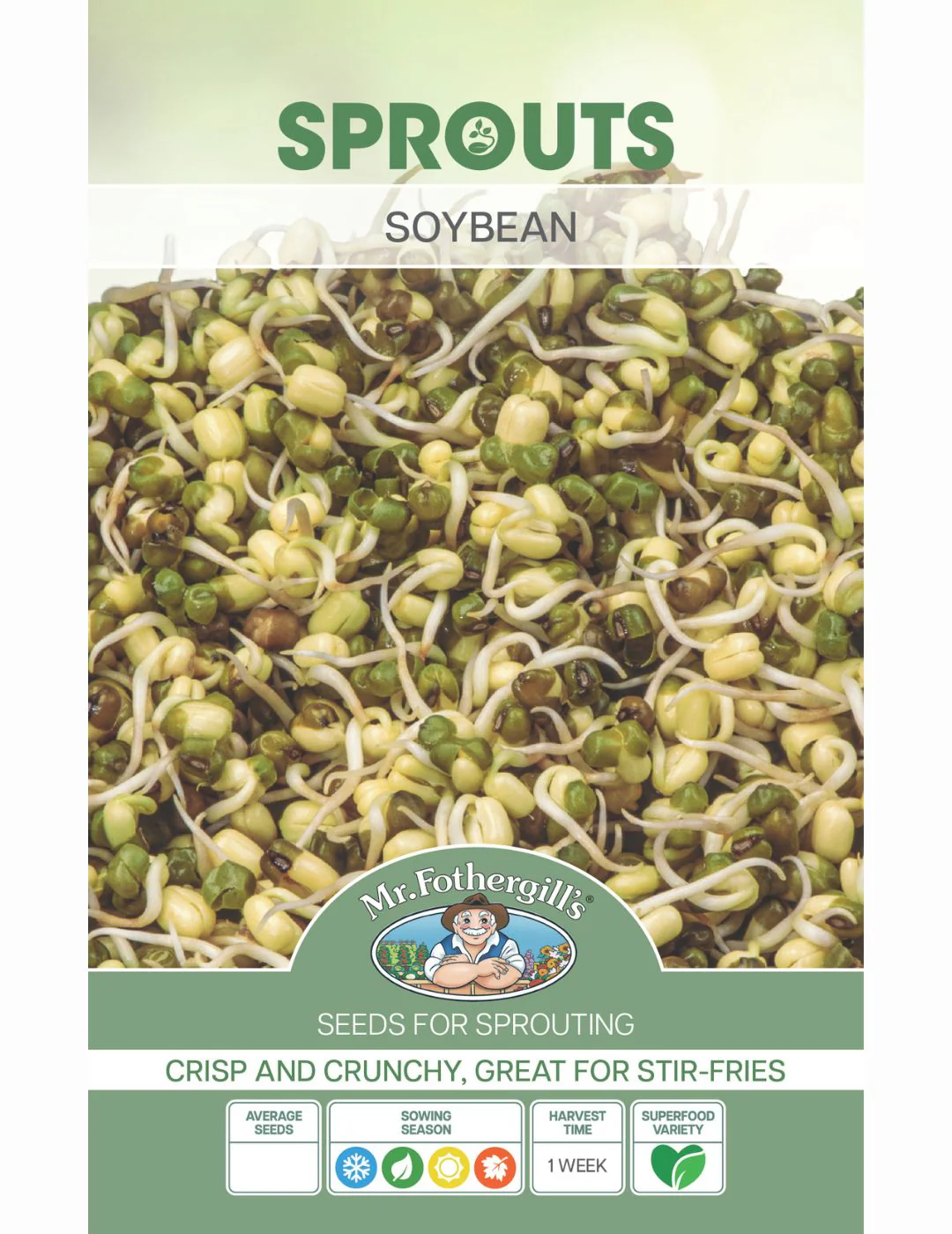 Sprouting Soybean Seeds