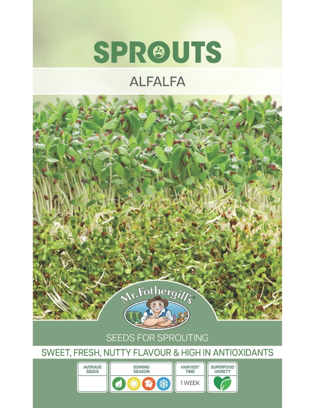 Alfalfa Sprouting Seeds - Image 2