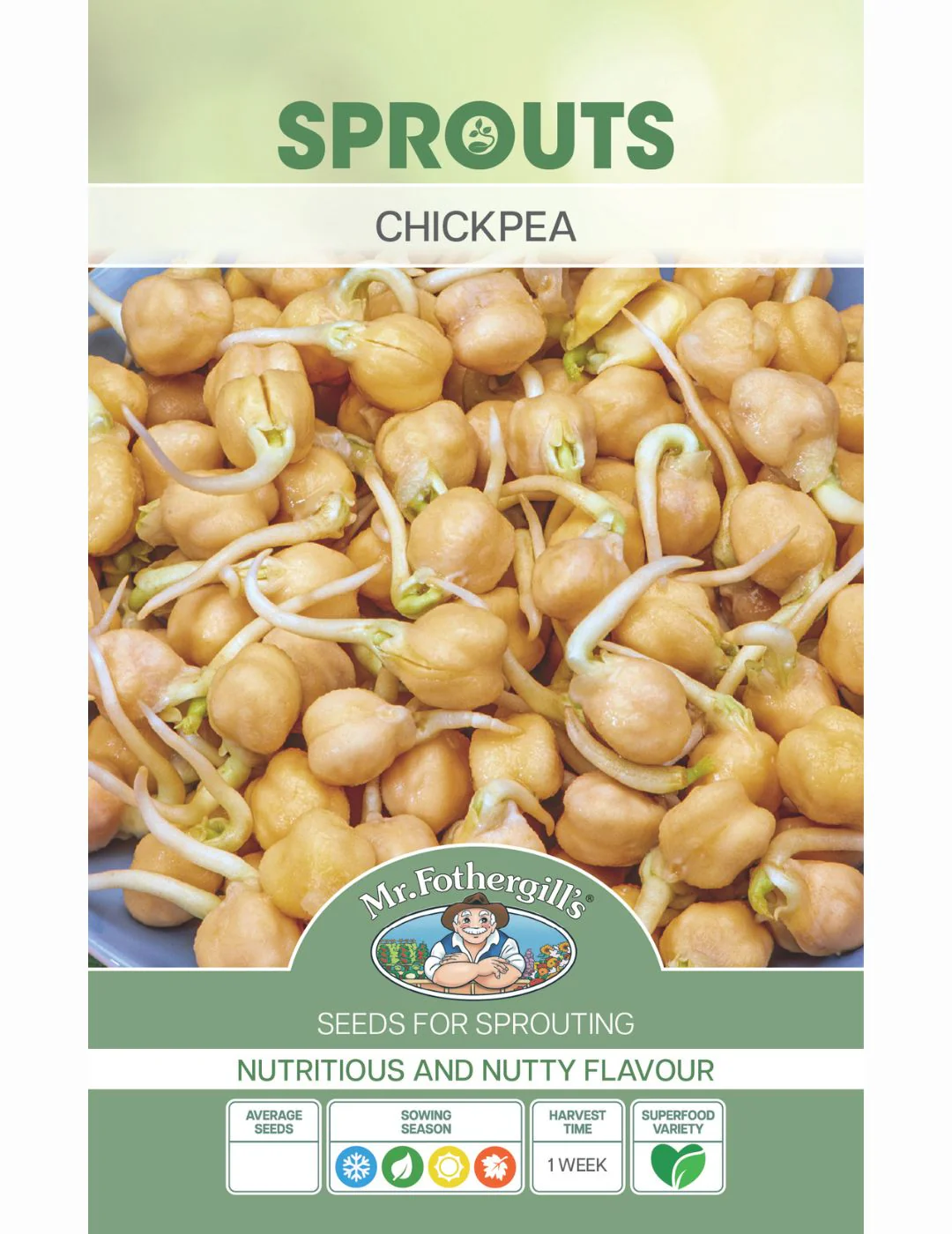 Sprouting Chick Pea Seeds - Image 2