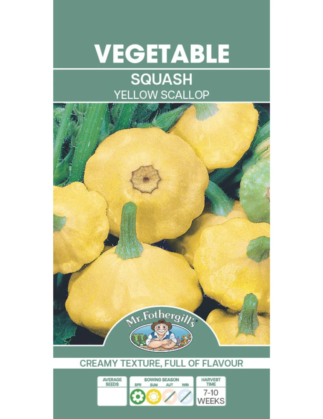 Yellow Scallop Squash Seeds - Image 2