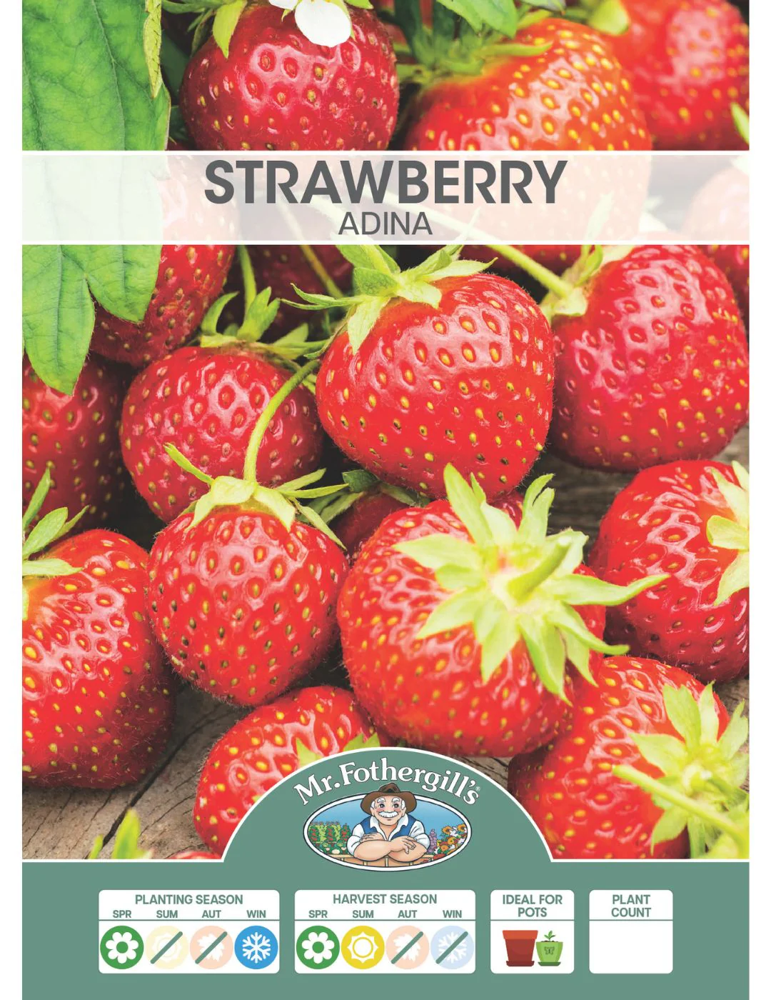 Strawberry Adina (Crowns) - Image 2