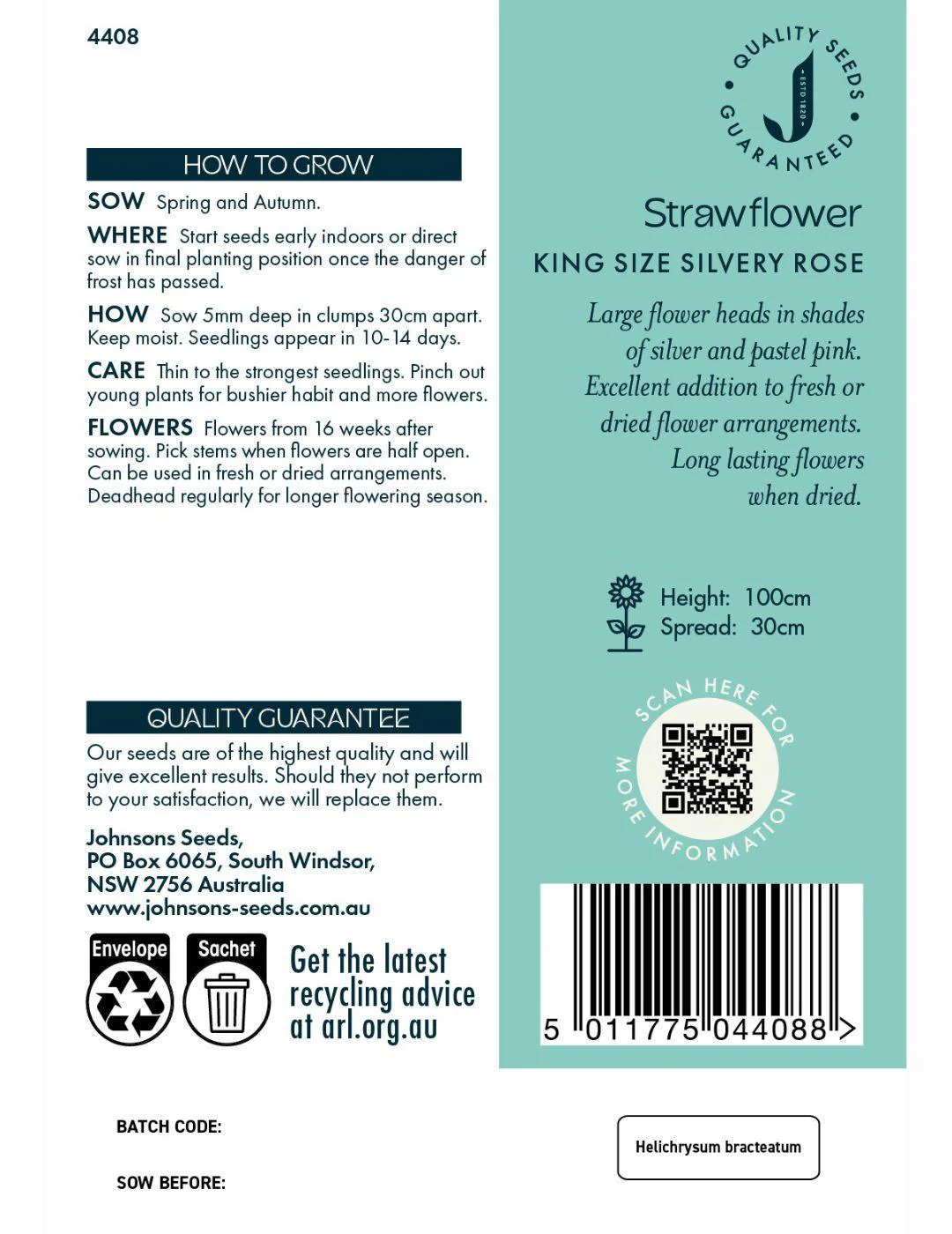 Strawflower King Size Seeds - Image 2