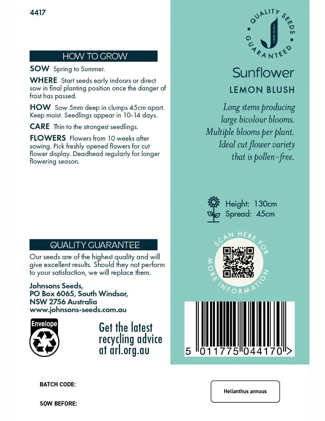 Sunflower Lemon Blush Seeds - Image 2