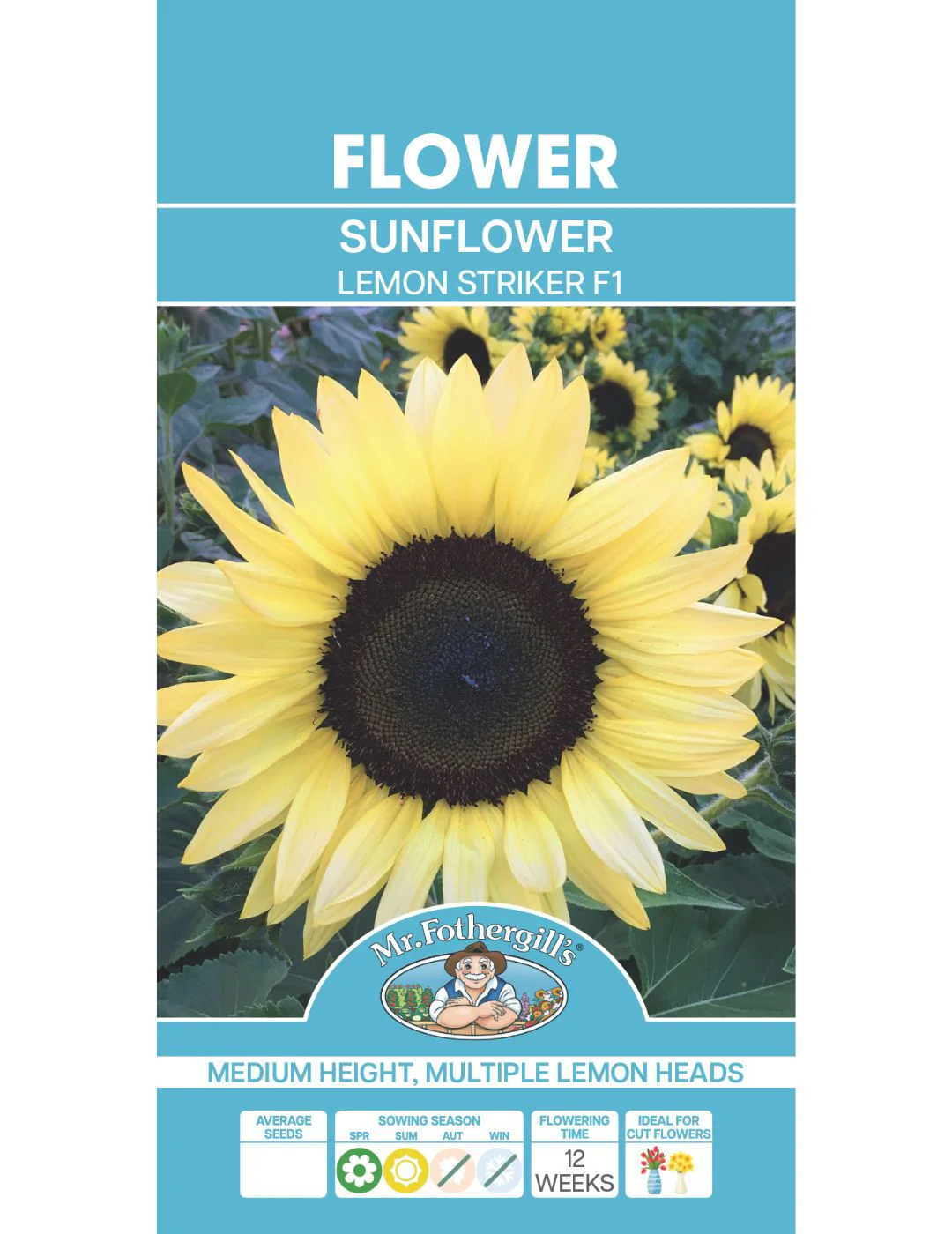 Sunflower Lemon Striker F1 - Image 2