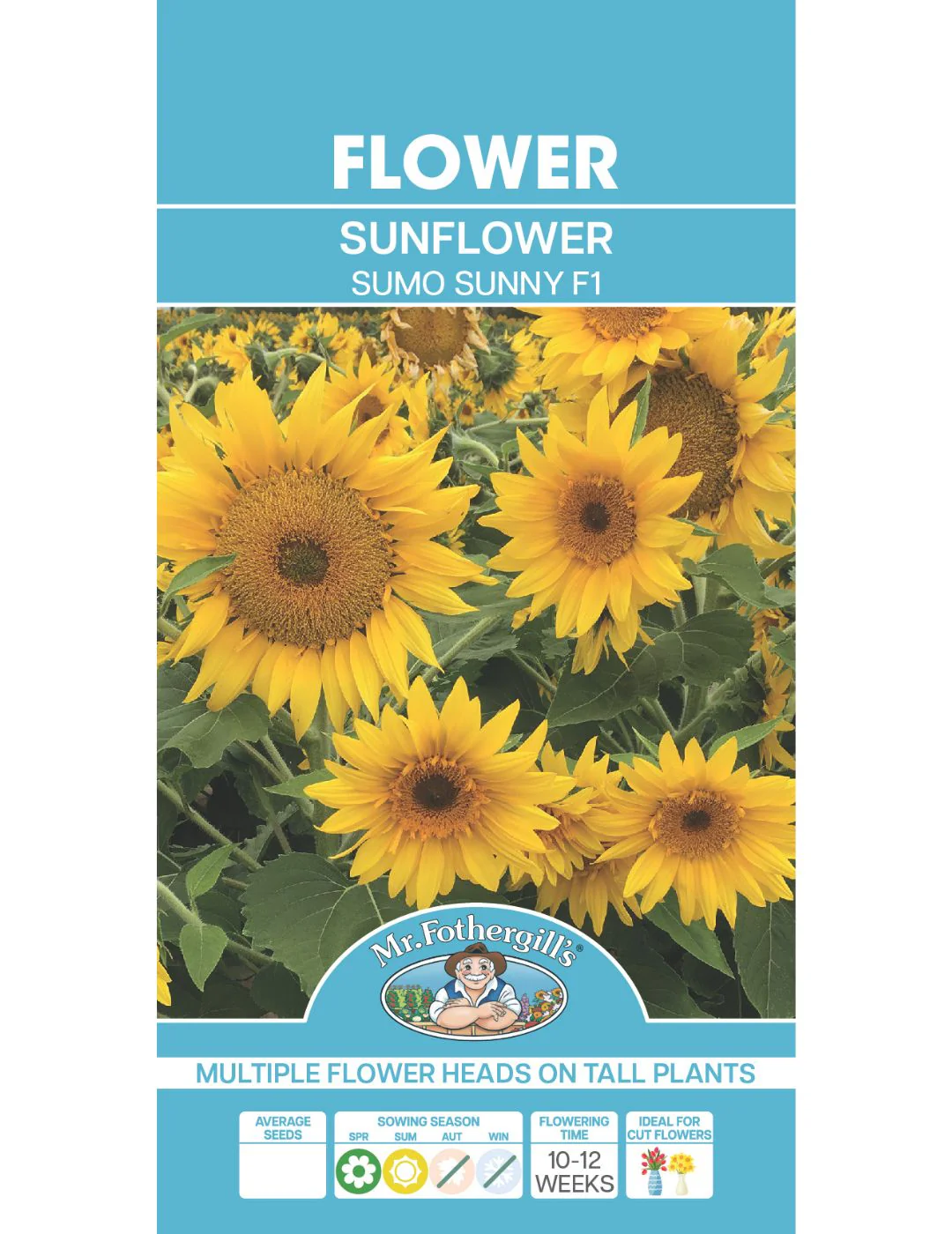 Sunflower Sumo Sunny F1 - Image 2