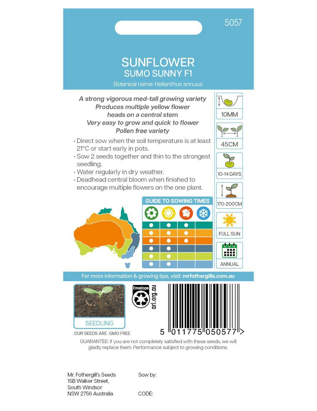 Sunflower Sumo Sunny F1 - Image 3