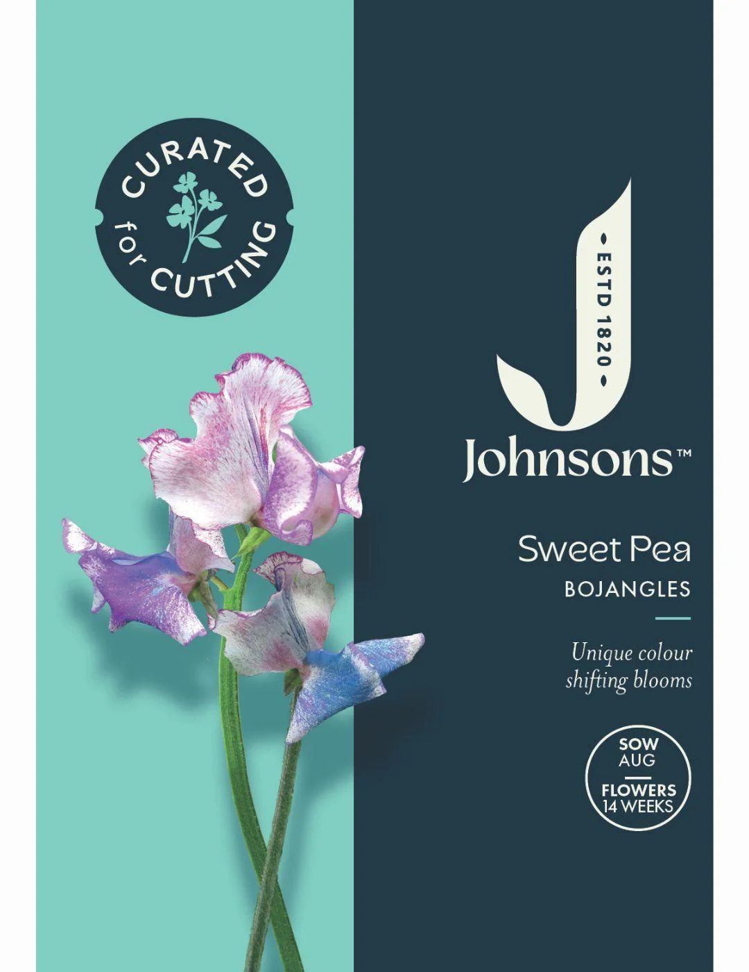 Sweet Pea Bojangles Seeds