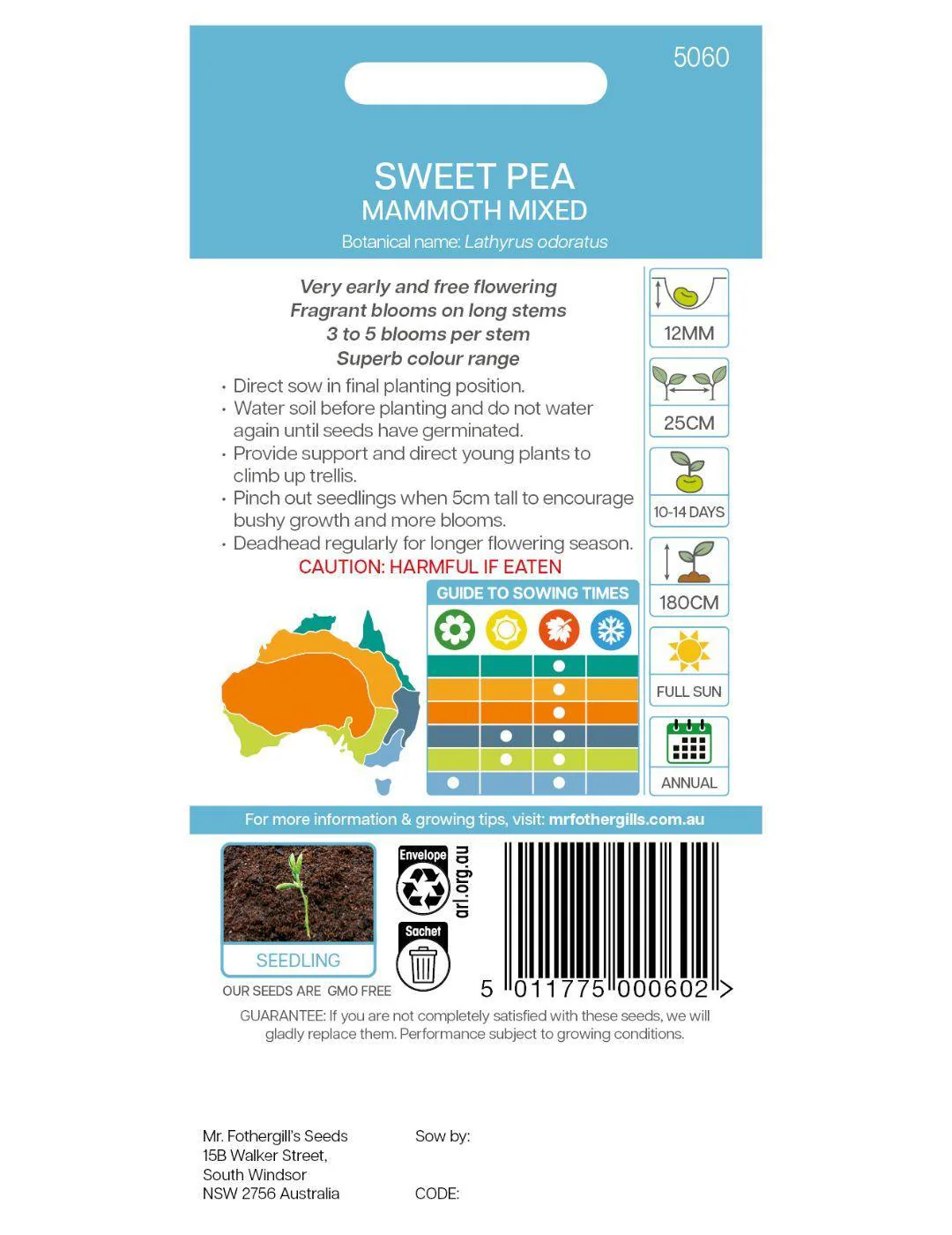 Sweet Pea Mammoth Mixed - Image 3