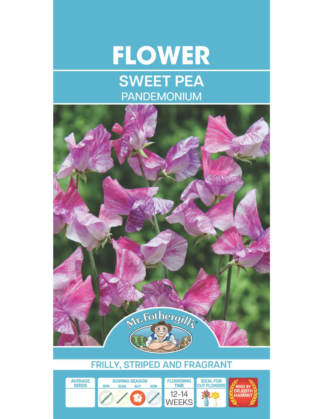 Sweet Pea Pandemonium - Image 2