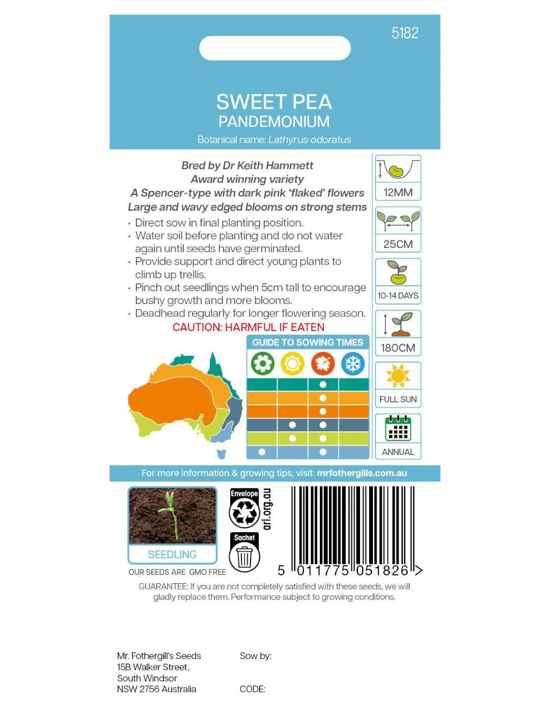 Sweet Pea Pandemonium - Image 3