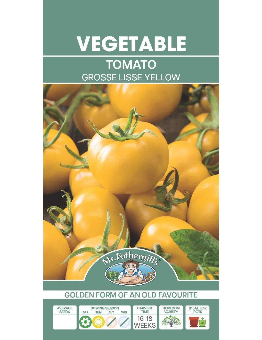Tomato Grosse Lisse Yellow - Image 2