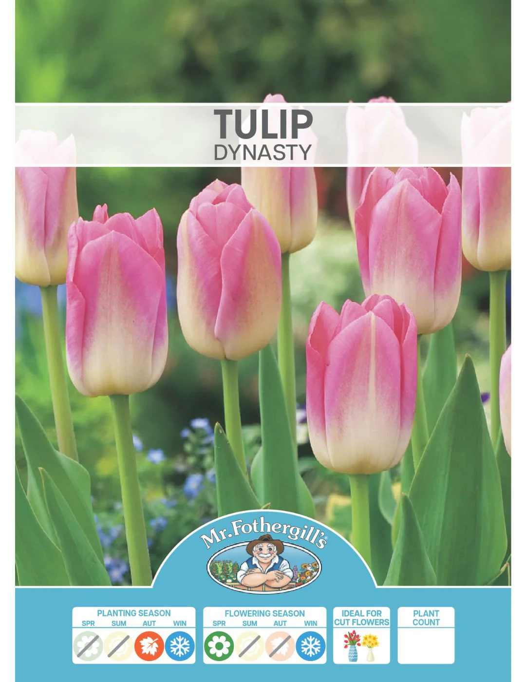 Tulip Dynasty - Image 2