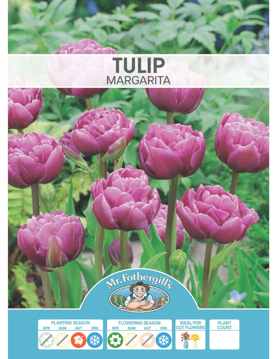 Tulip Double Margarita - Image 2