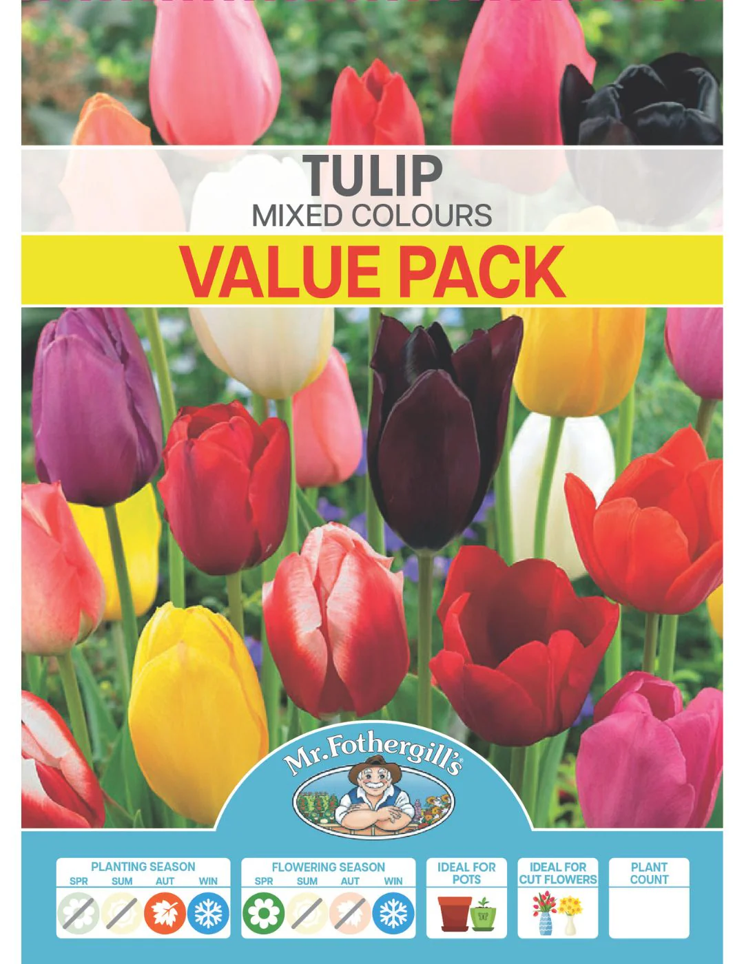 Tulip Bulbs Mixed Value Pack - Image 2