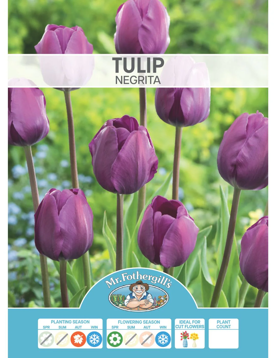 Tulip Negrita - Image 2