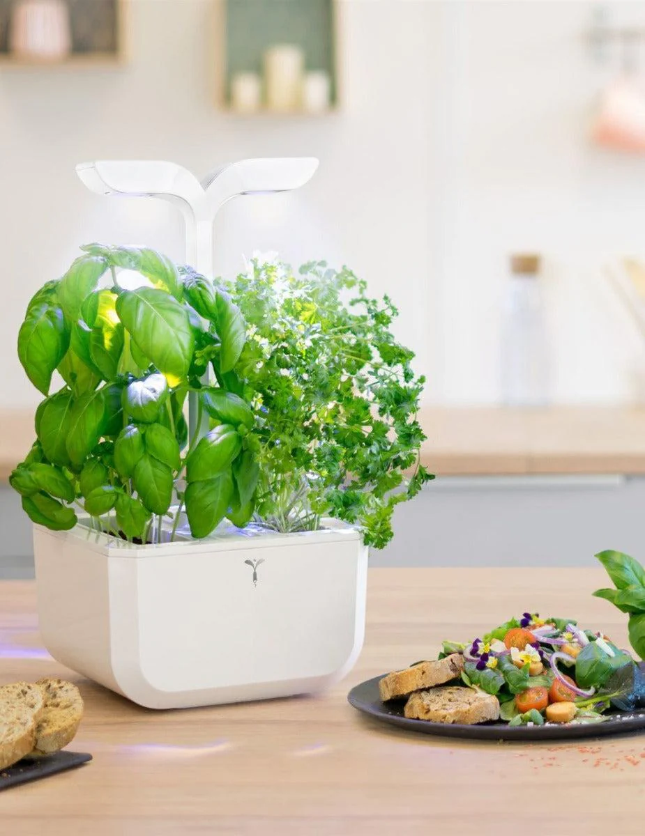 Véritable® EXKY Indoor Garden - CLASSIC - Image 4