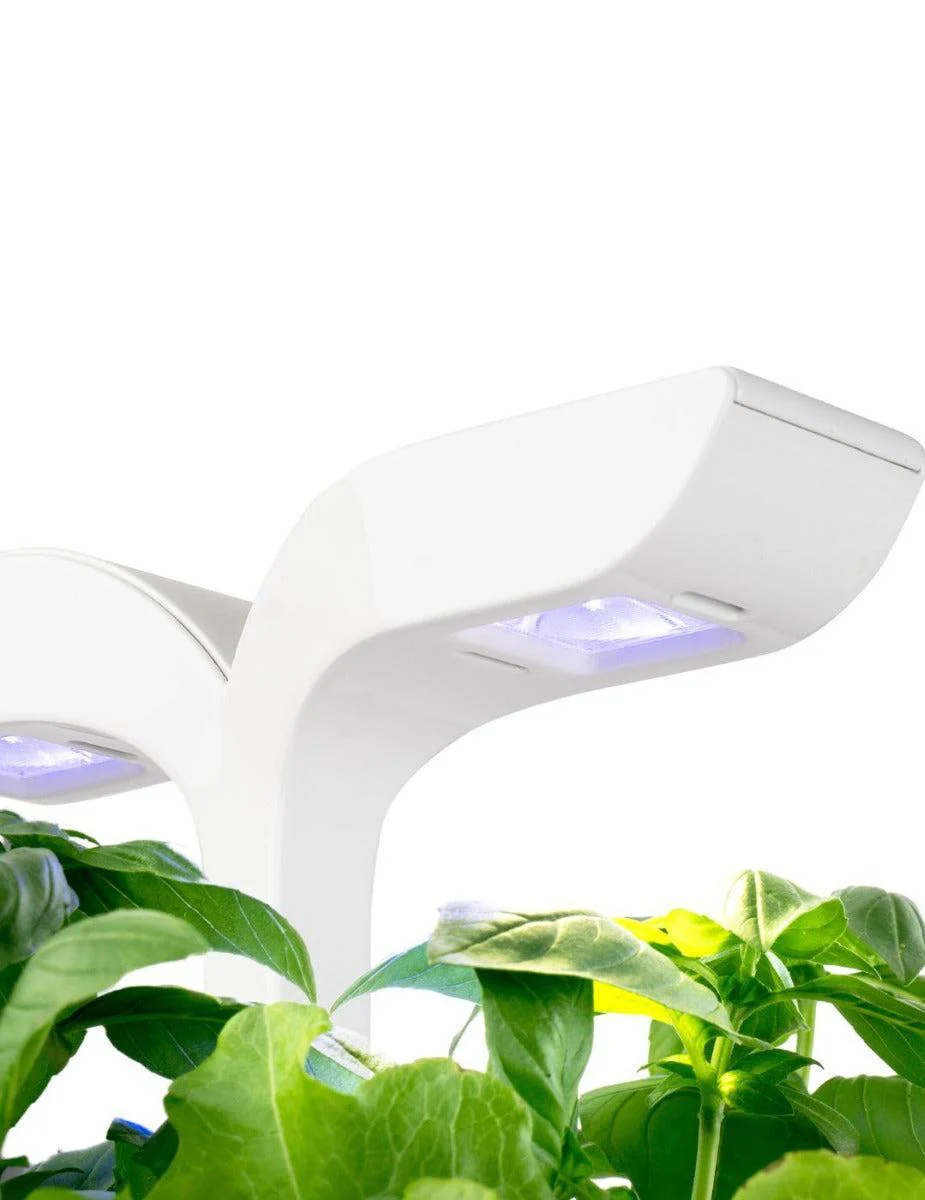 Véritable® EXKY Indoor Garden - CLASSIC - Image 5