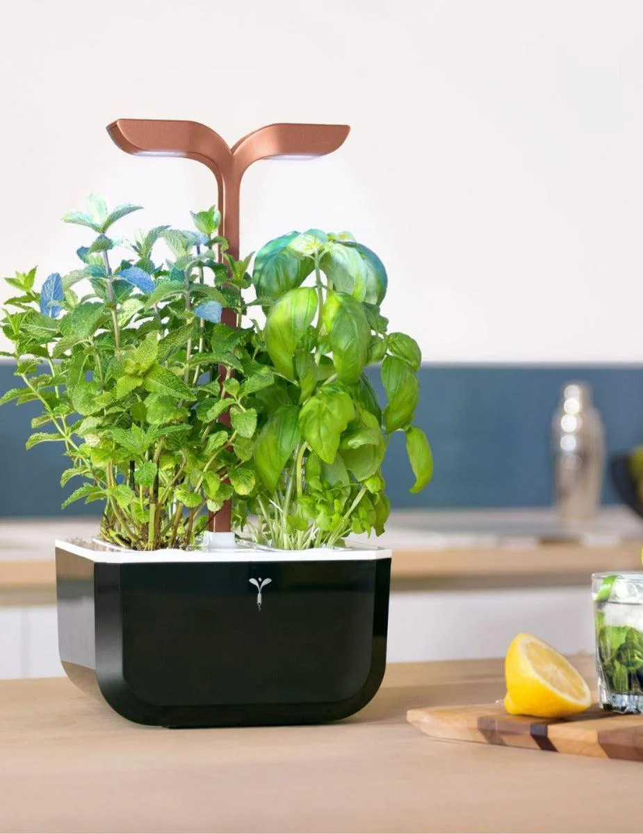 Véritable® EXKY Copper Indoor Garden - SMART - Image 4