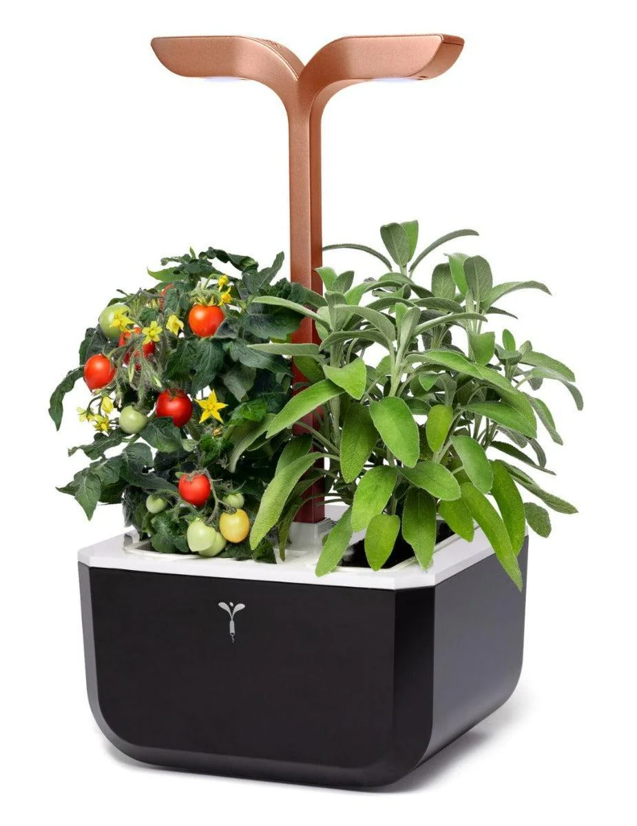 Véritable® EXKY Copper Indoor Garden - SMART - Image 7