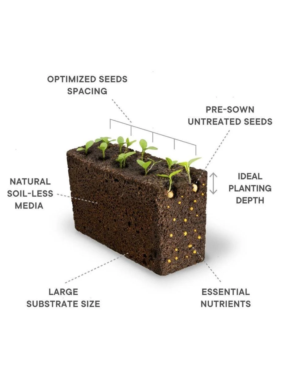 Véritable® Indoor Garden - CLASSIC - Image 3