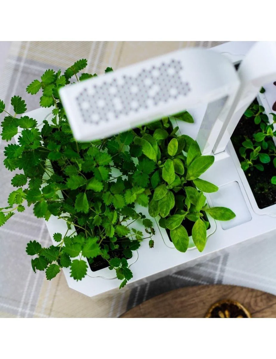 Véritable® Indoor Garden - CLASSIC - Image 5