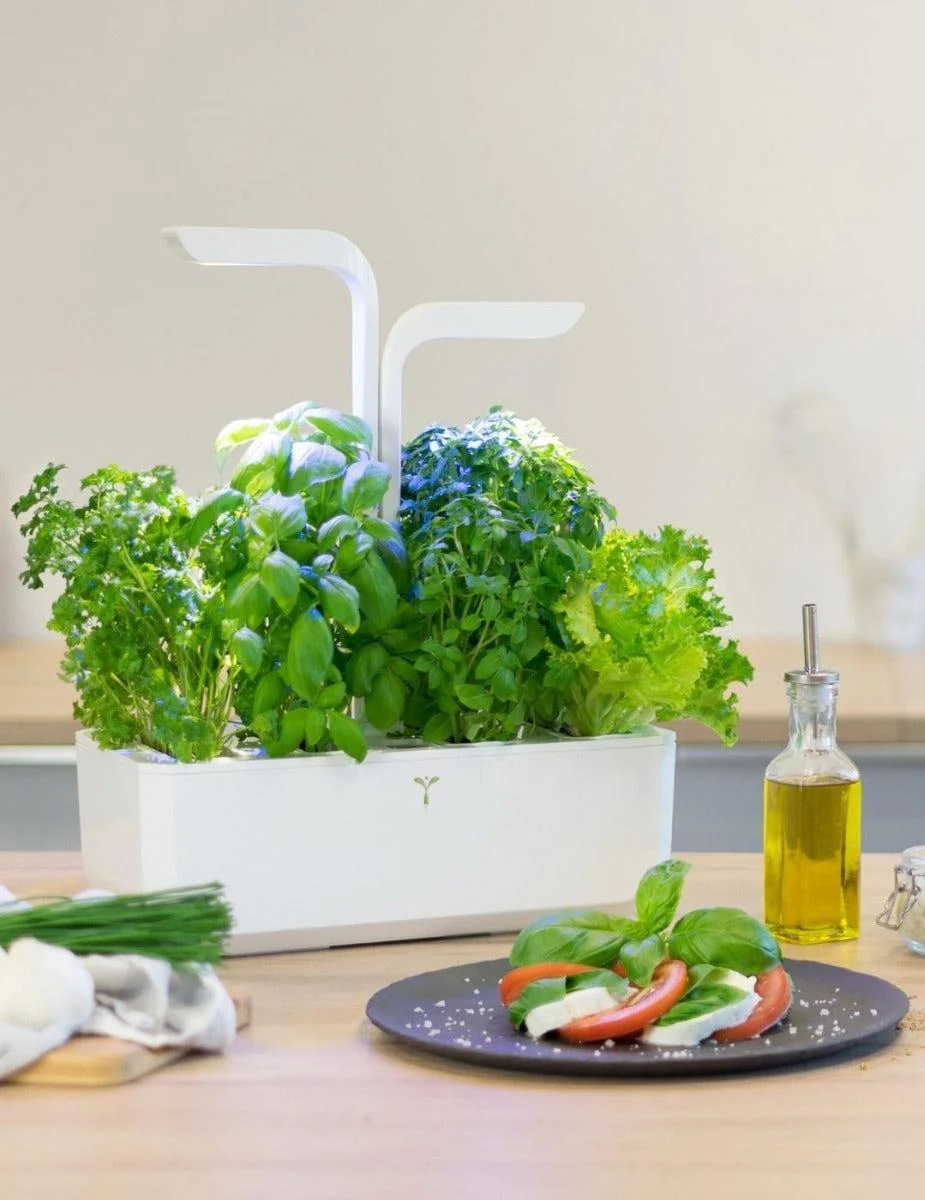 Véritable® Indoor Garden - CLASSIC - Image 6