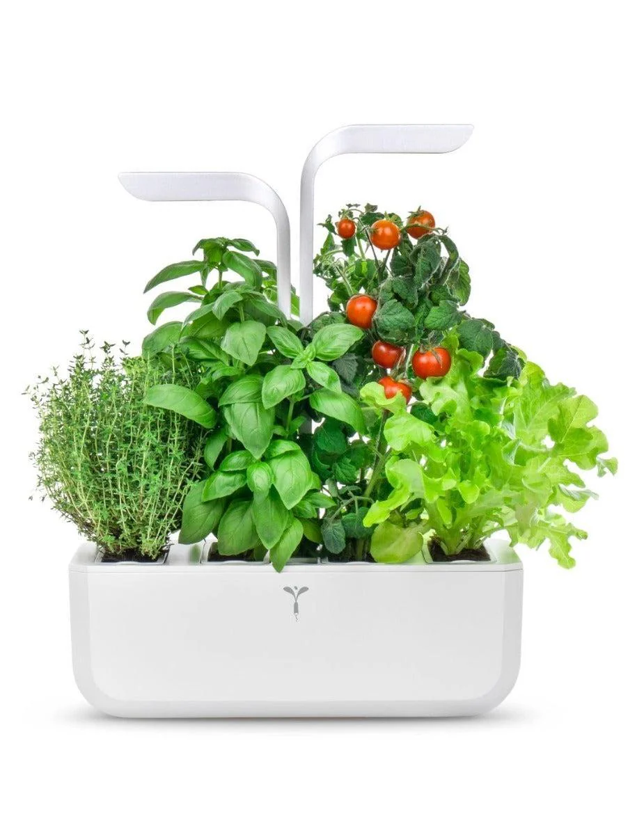 Véritable® Indoor Garden - CLASSIC - Image 8