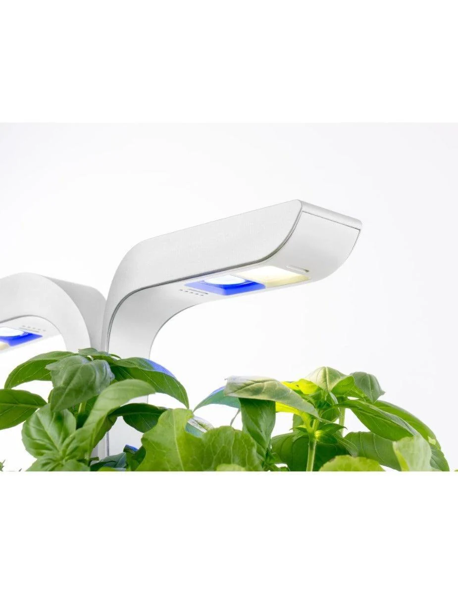 Véritable® Indoor Garden - SMART - Image 4