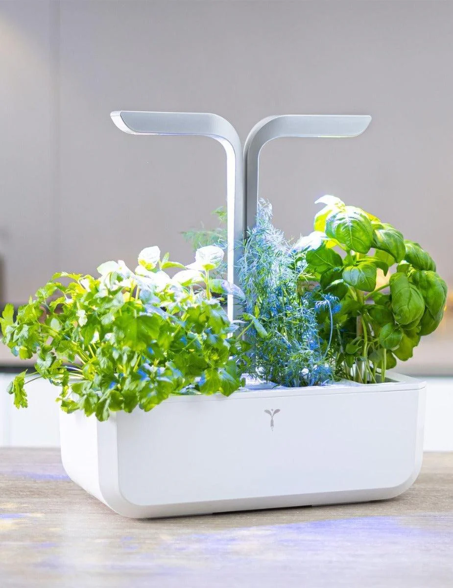 Véritable® Indoor Garden - SMART - Image 9