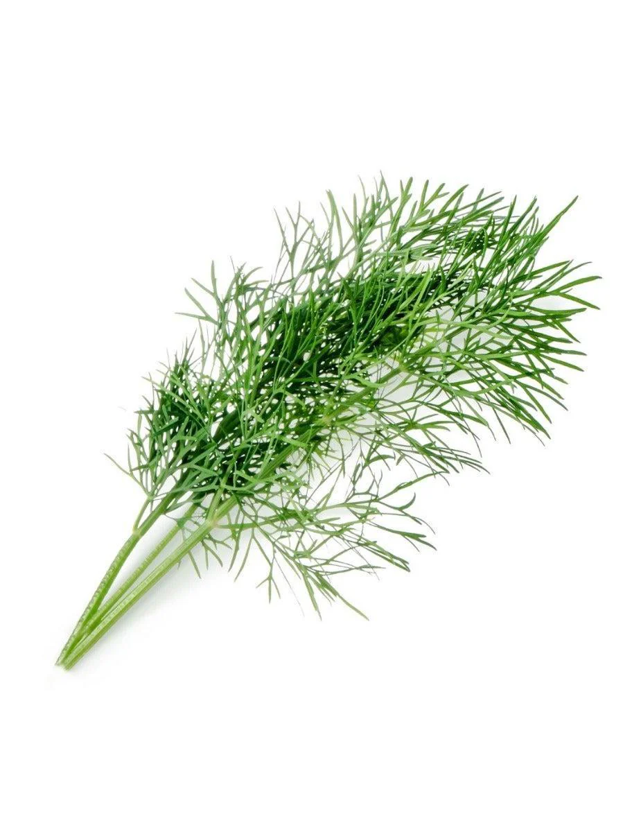 Véritable® Seed Lingot® - Dill - Image 4