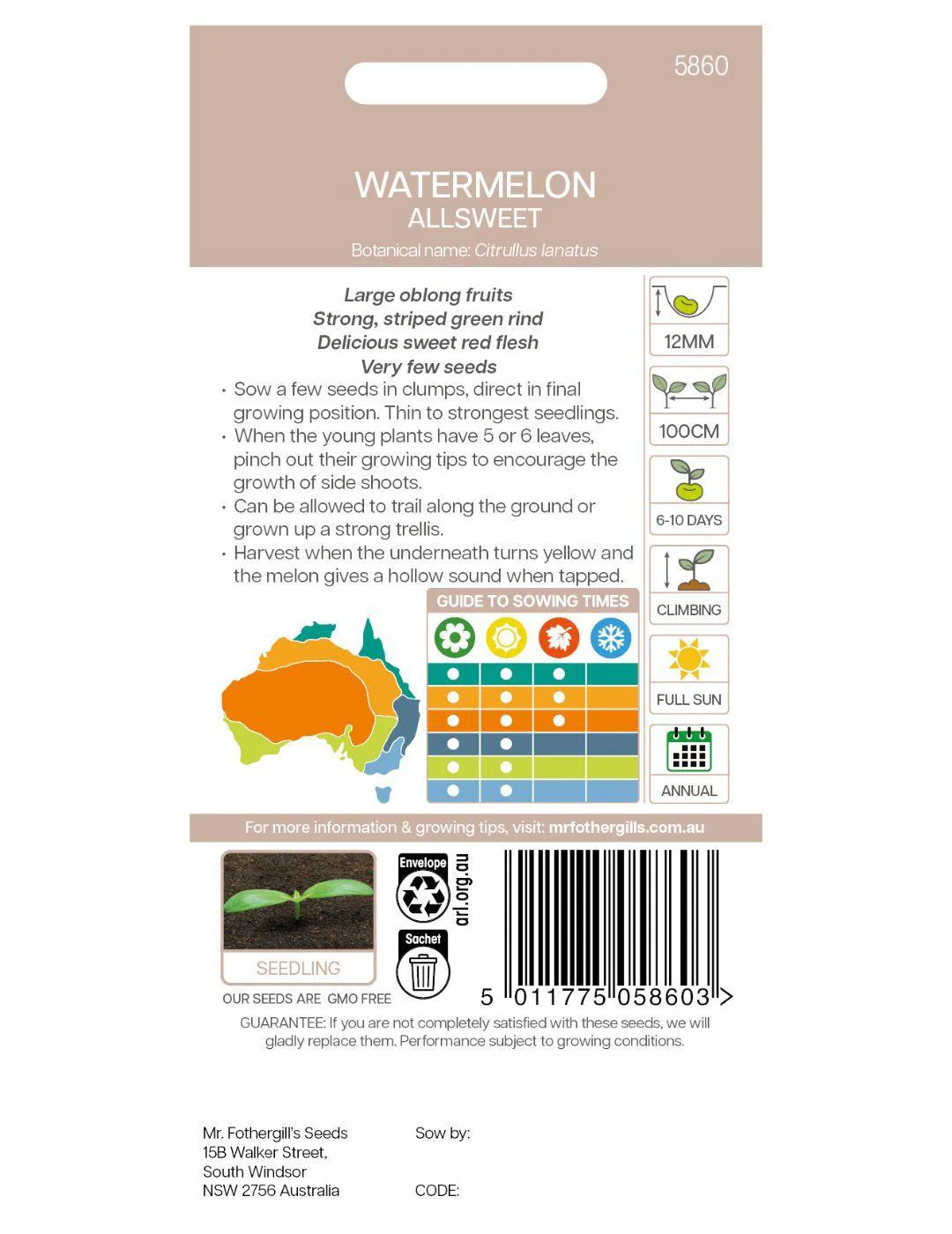 Watermelon Allsweet - Image 3
