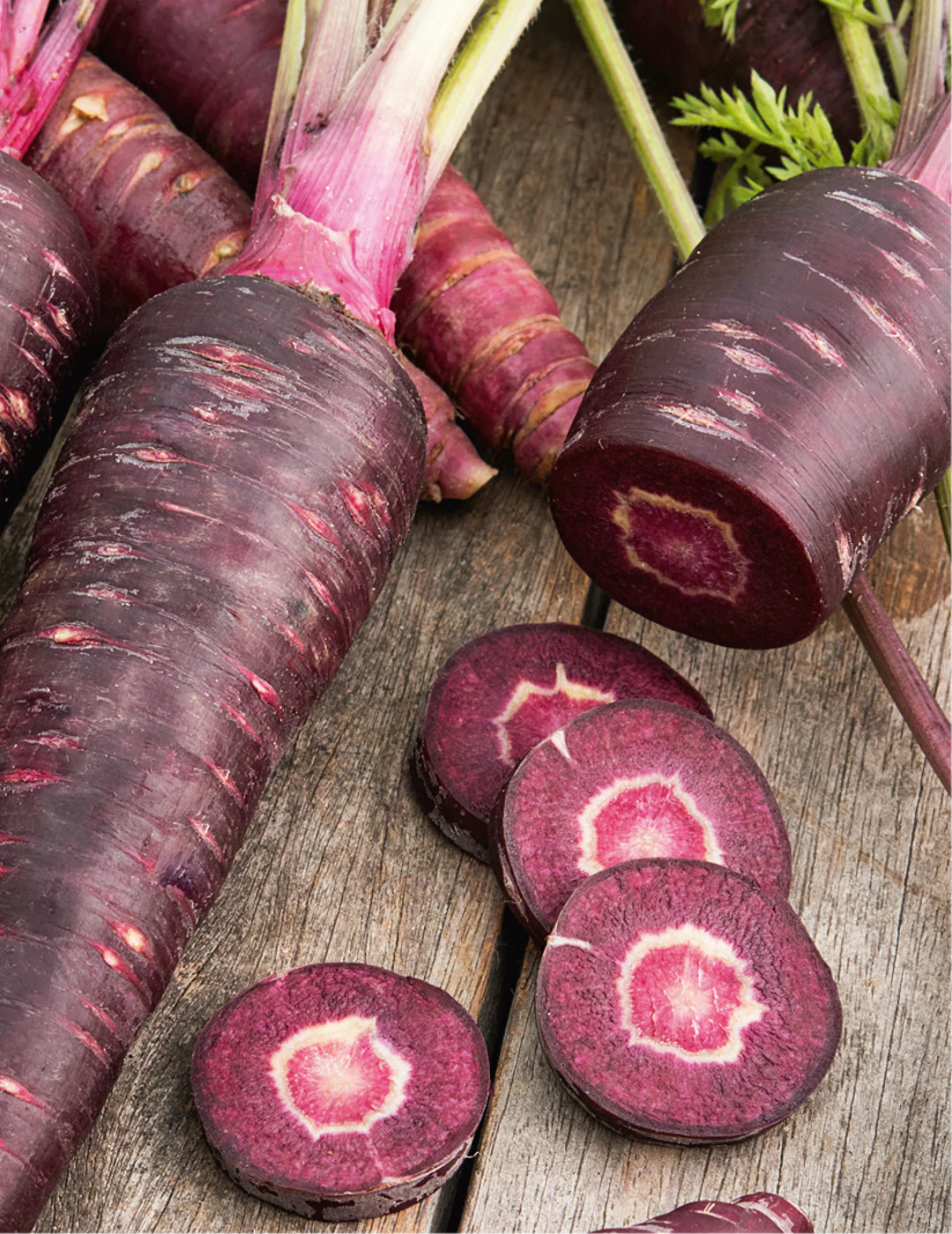 Purple Sun F1 Carrot Seeds - Image 2
