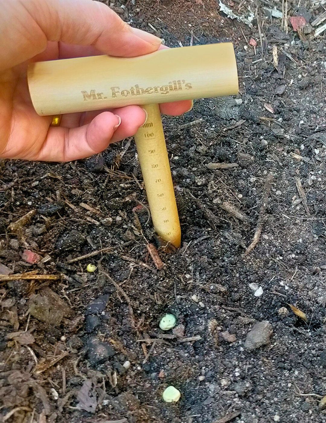 Wooden Seed Sowing Dibber Stick - Image 3