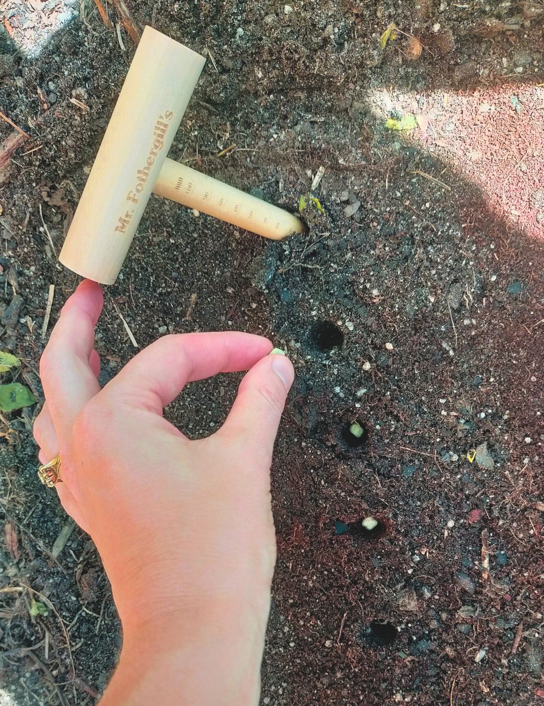 Wooden Seed Sowing Dibber Stick - Image 4